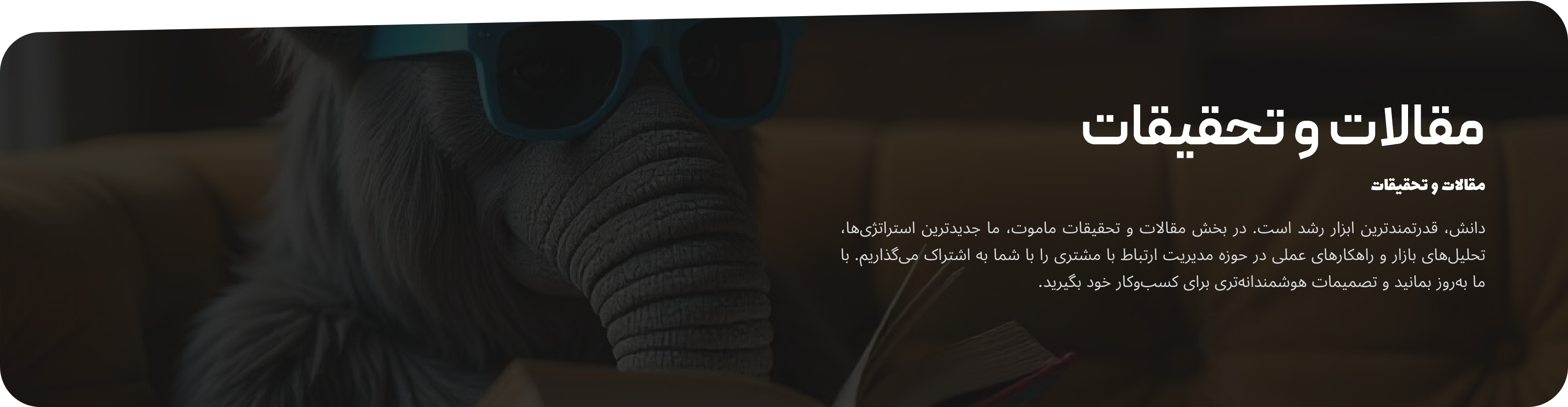 مقالات و تحقیقات کاوا CRM